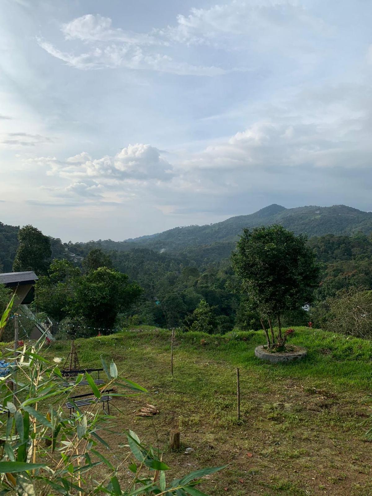 Misty Hideout Bed & Breakfast Kakkadampoyil Exterior photo