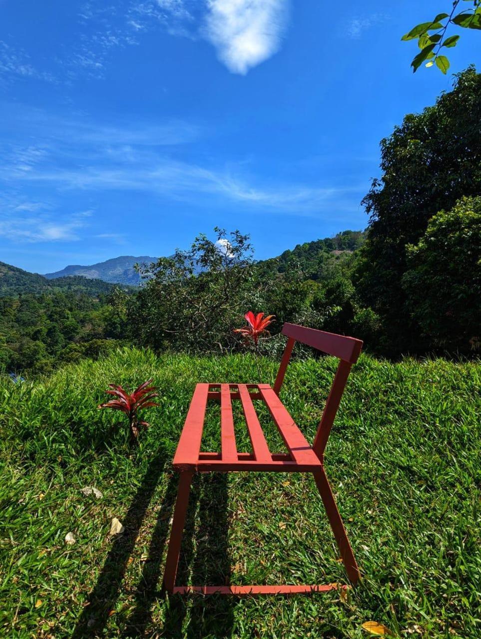 Misty Hideout Bed & Breakfast Kakkadampoyil Exterior photo
